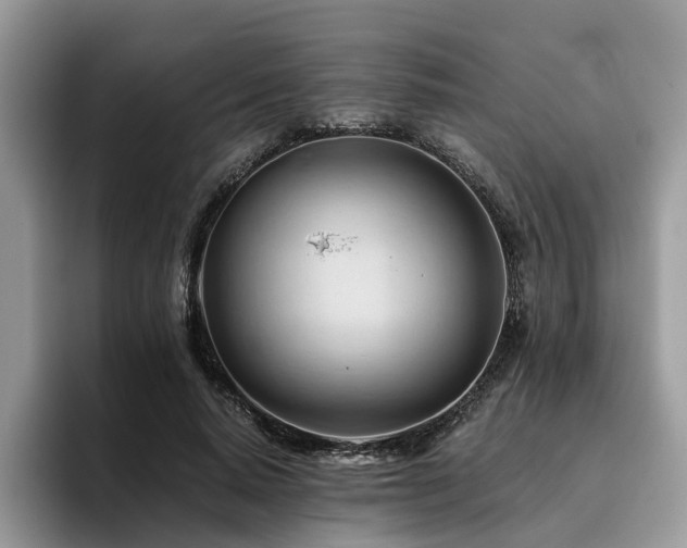 X0000096200640200801181342