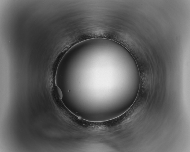 X0000096200642200801181342