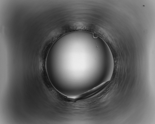 X0000096200643200801181342