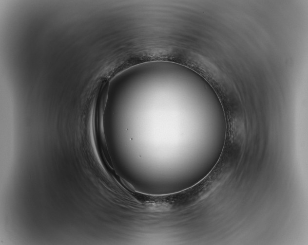 X0000096200644200801181342