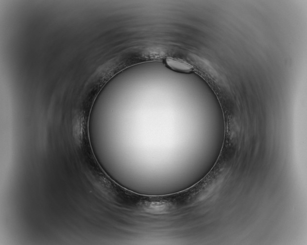X0000096200645200801181342