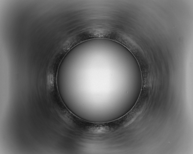 X0000096200646200801181342