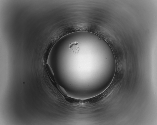 X0000096200647200801181342