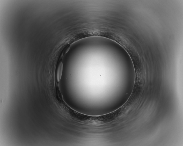 X0000096200648200801181342