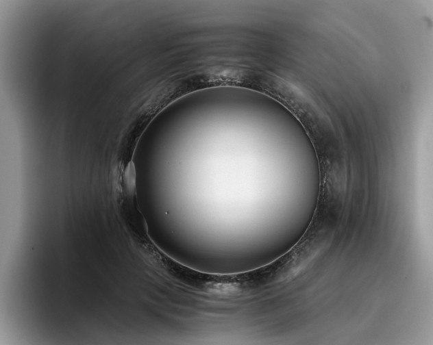 X0000096200649200801181342
