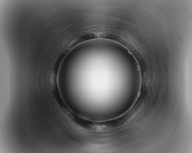 X0000096200650200801181342