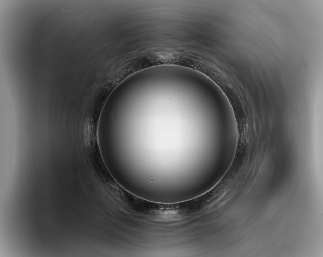 X0000096200651200801181342