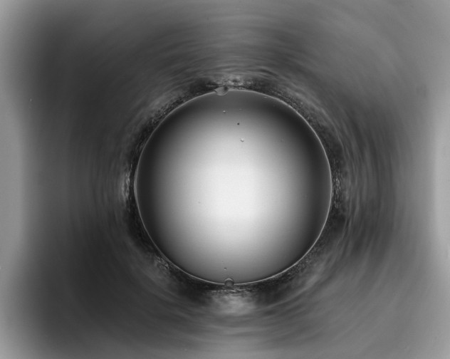 X0000096200652200801181342