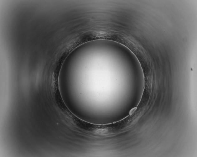 X0000096200653200801181342