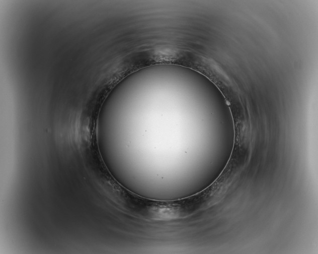 X0000096200655200801181342