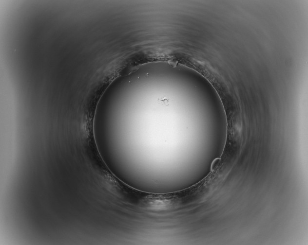 X0000096200658200801181342