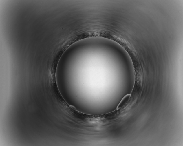 X0000096200661200801181342