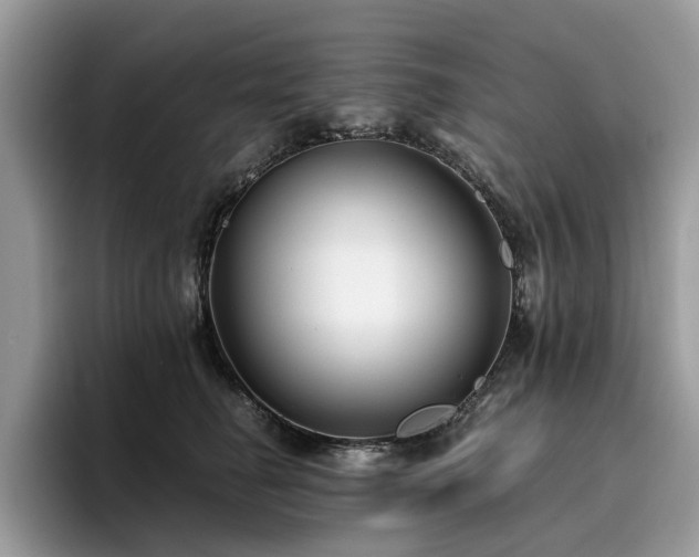 X0000096200662200801181342