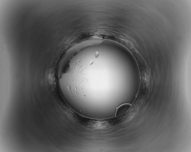 X0000096200663200801181342