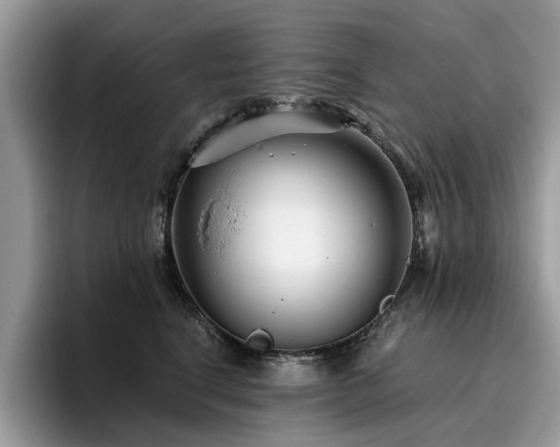 X0000096200664200801181342