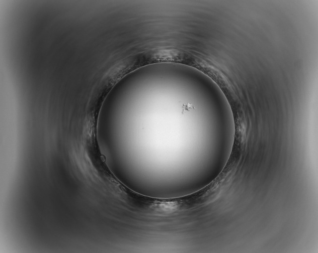 X0000096200665200801181342