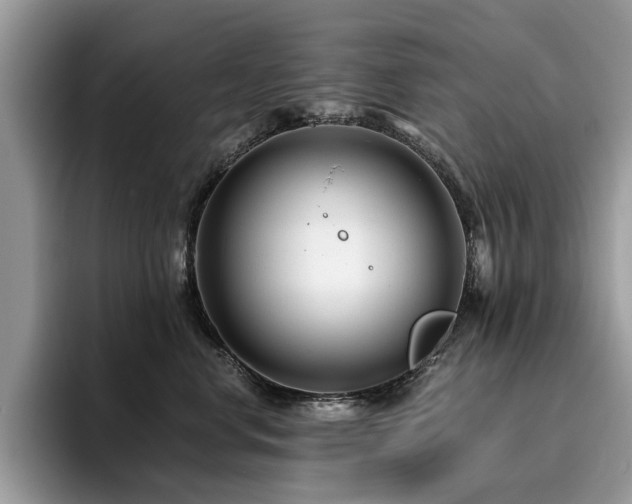 X0000096200668200801181342