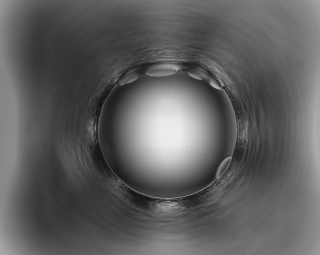 X0000096200669200801181342