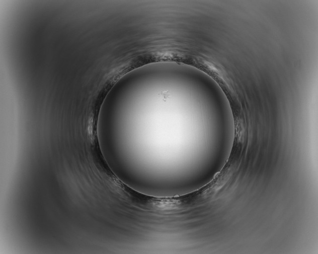 X0000096200670200801181342