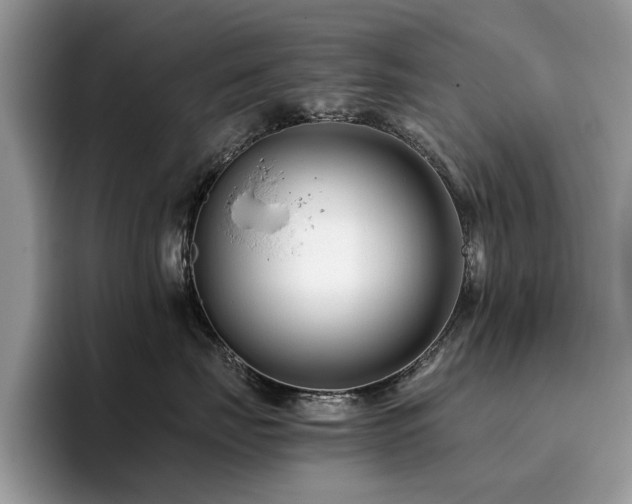 X0000096200671200801181342