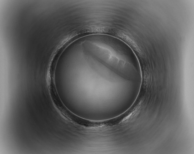 X0000096200674200801181341