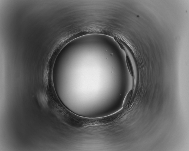 X0000096200675200801181341