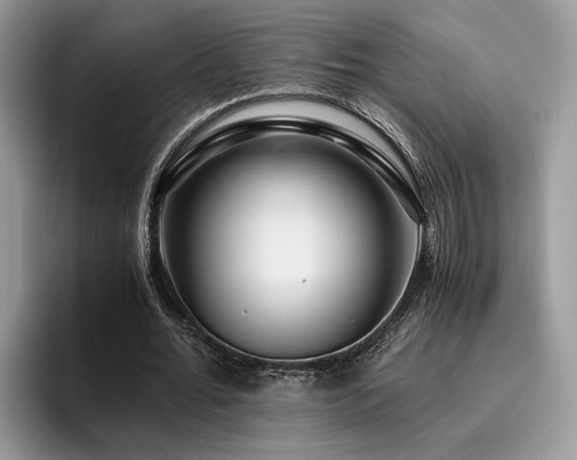 X0000096200676200801181341