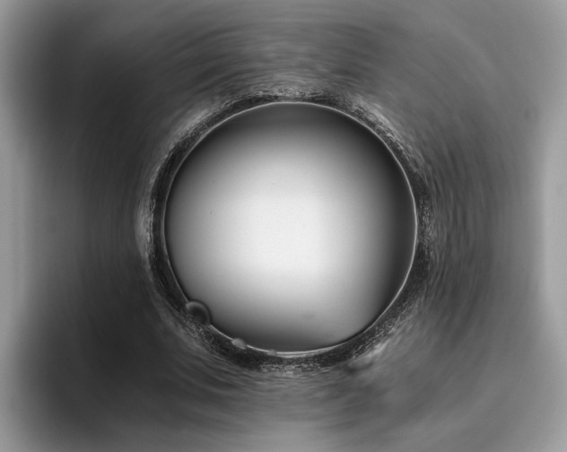 X0000096200679200801181341