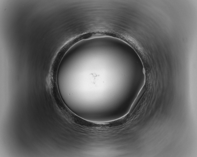 X0000096200680200801181341