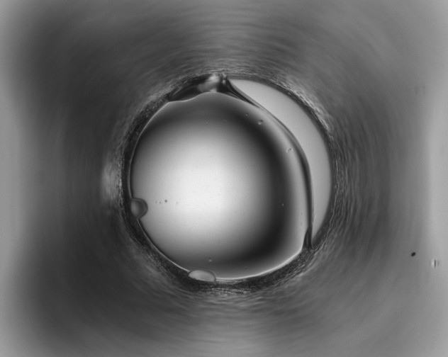 X0000096200681200801181341