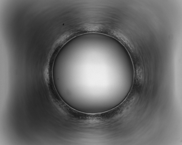 X0000096200682200801181341