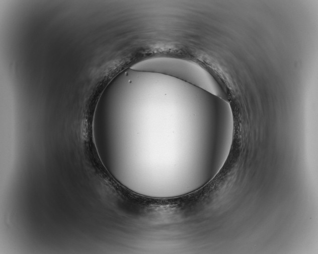 X0000096200689200801181341