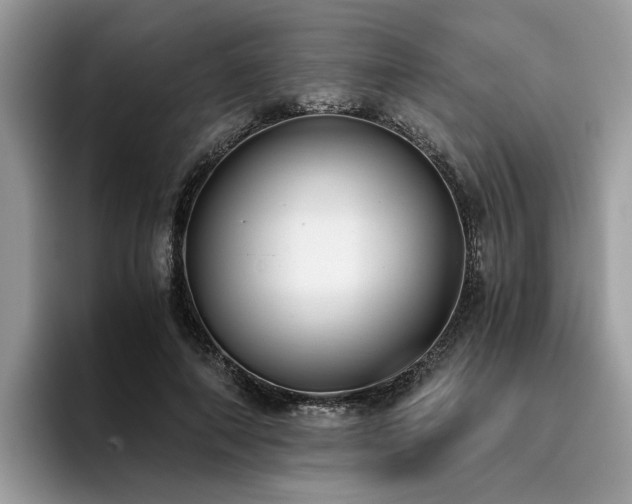 X0000096200690200801181341