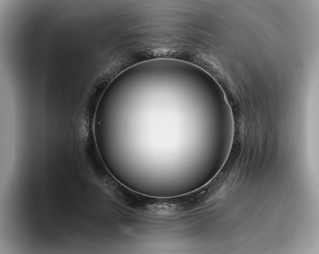 X0000096200691200801181341
