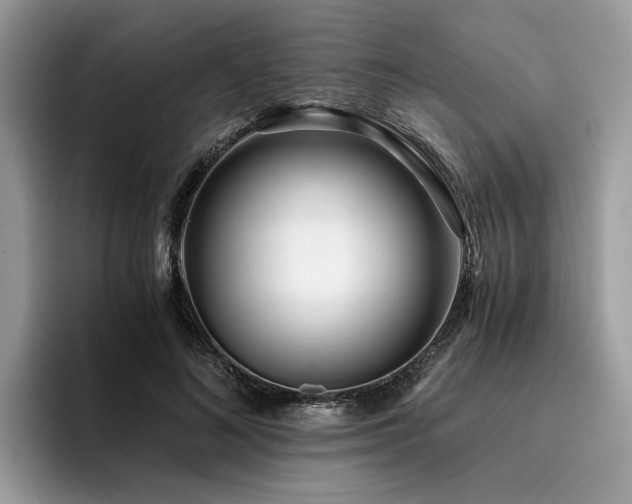 X0000096200692200801181341