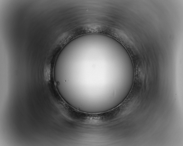 X0000096200694200801181341