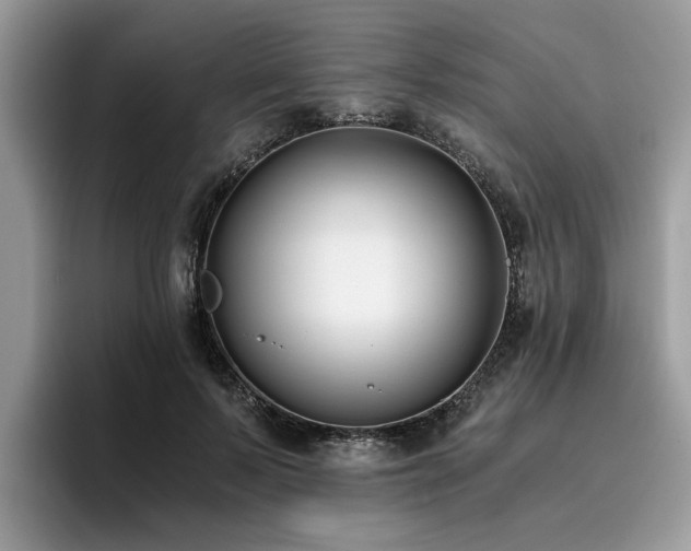 X0000096200695200801181341