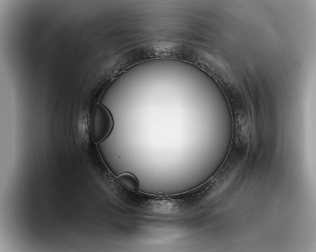 X0000096200698200801181341