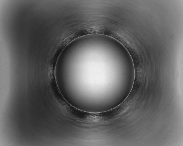 X0000096200699200801181341