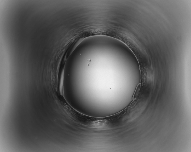 X0000096200700200801181341