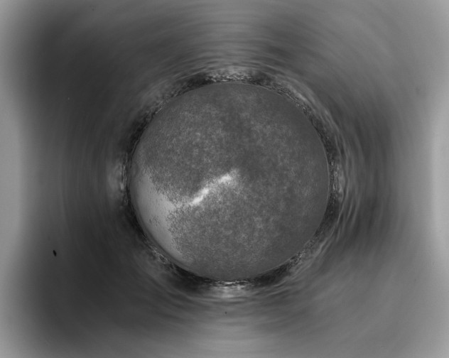 X0000096200701200801181341