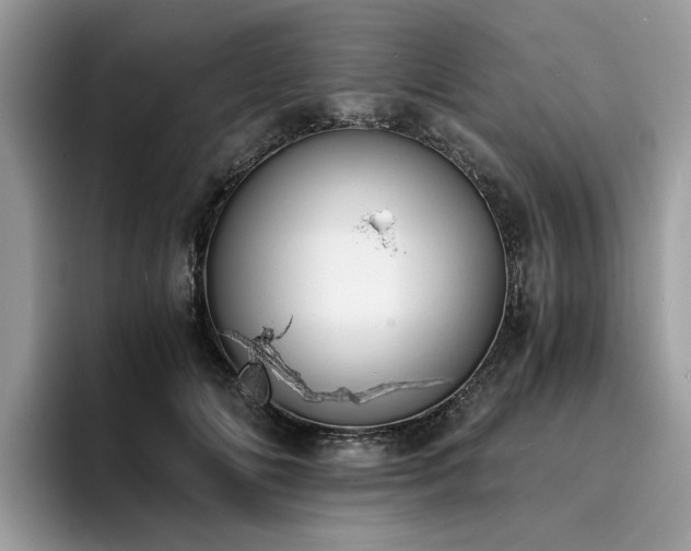 X0000096200702200801181341