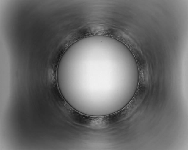 X0000096200705200801181341