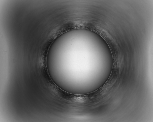 X0000096200706200801181341