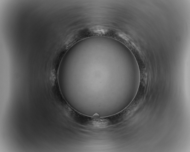 X0000096200707200801181341