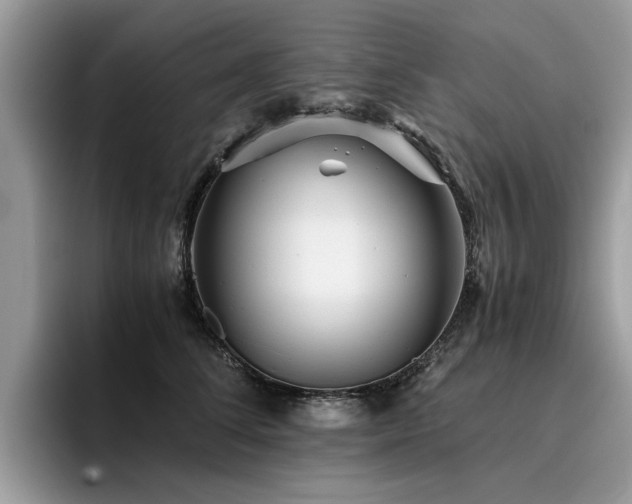 X0000096200708200801181341