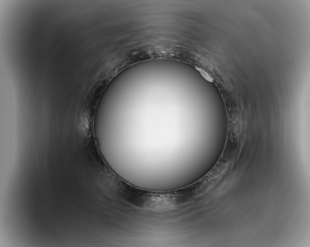 X0000096200709200801181341