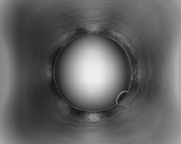 X0000096200710200801181341