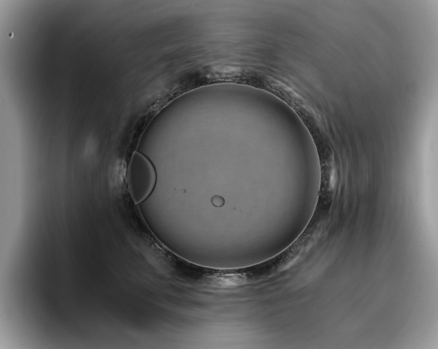 X0000096200711200801181341