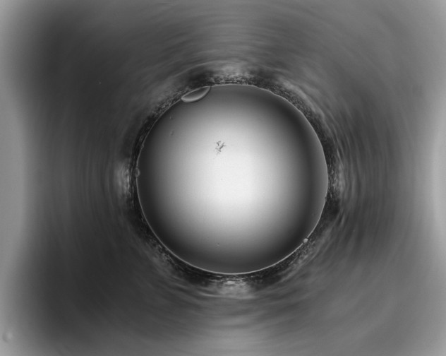 X0000096200715200801181341